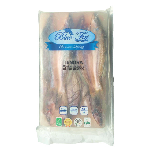 Frozen Tengra Fish 500g
