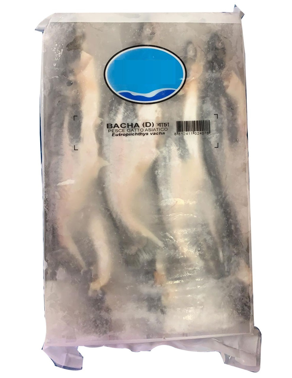 Basa Block Fish