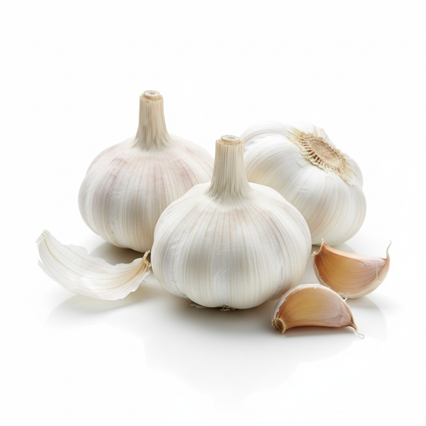 Garlic
