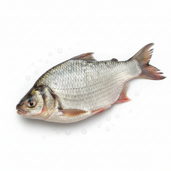 Rohu Fish